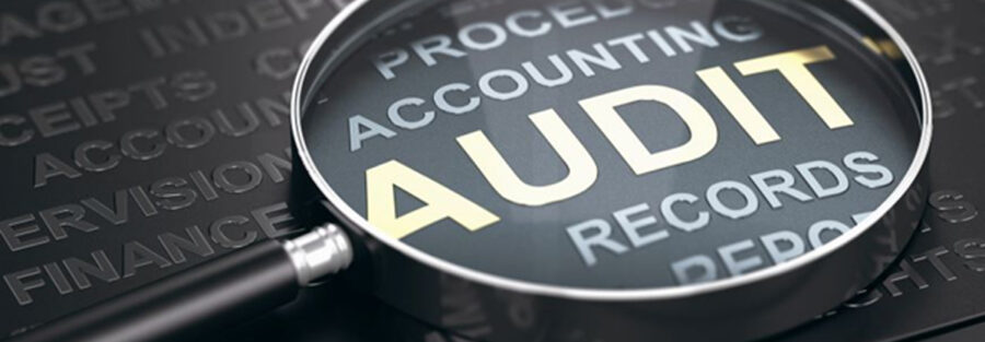 Auditor