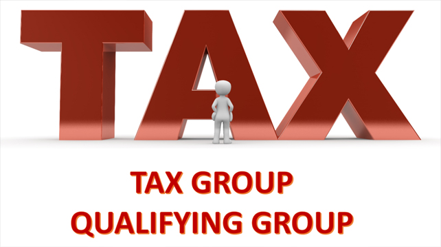 TAX Group