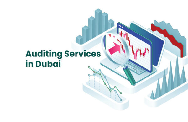 Auditors in Dubai Auditors in Dubai
